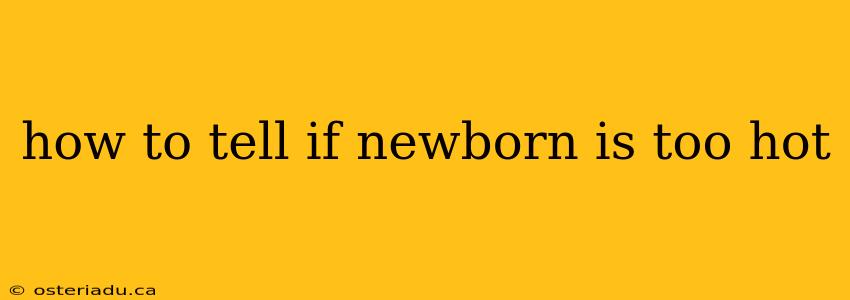 how to tell if newborn is too hot