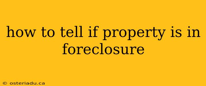 how to tell if property is in foreclosure