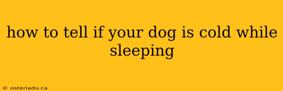 how to tell if your dog is cold while sleeping