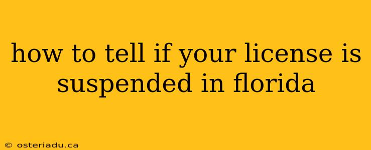 how to tell if your license is suspended in florida