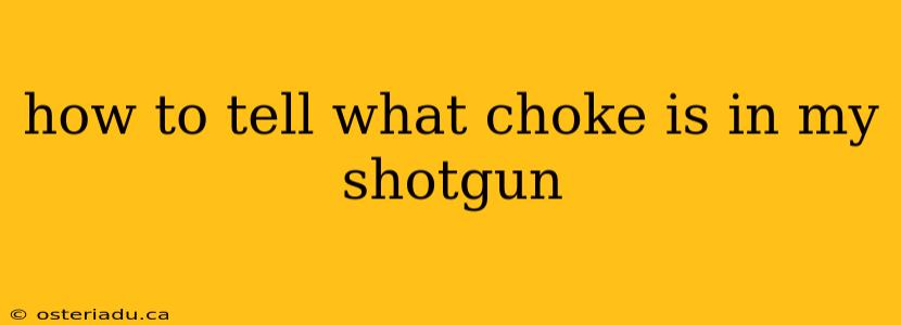 how to tell what choke is in my shotgun