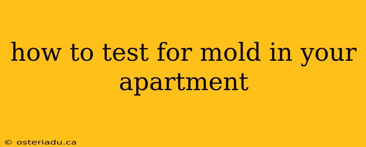 how to test for mold in your apartment