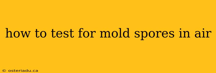 how to test for mold spores in air