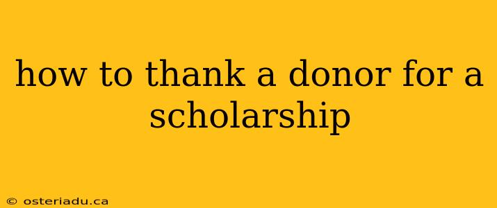 how to thank a donor for a scholarship