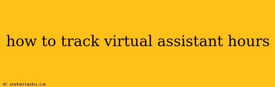 how to track virtual assistant hours