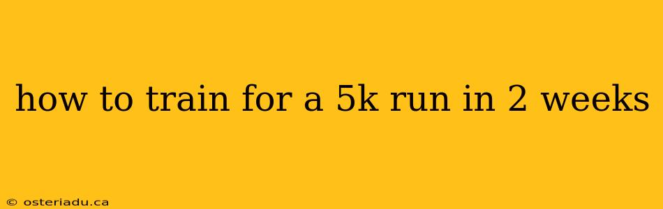 how to train for a 5k run in 2 weeks