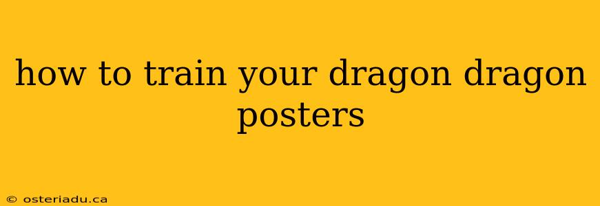 how to train your dragon dragon posters