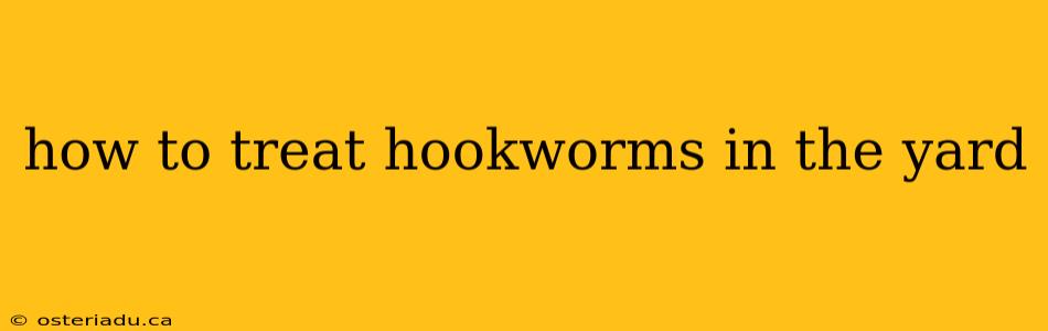 how to treat hookworms in the yard