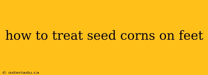 how to treat seed corns on feet