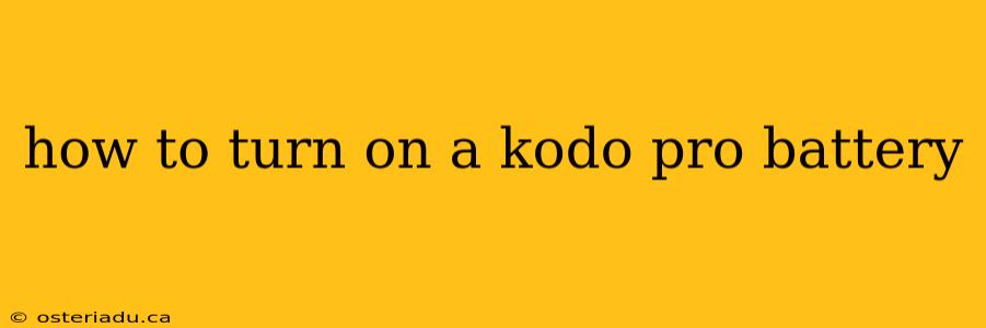 how to turn on a kodo pro battery