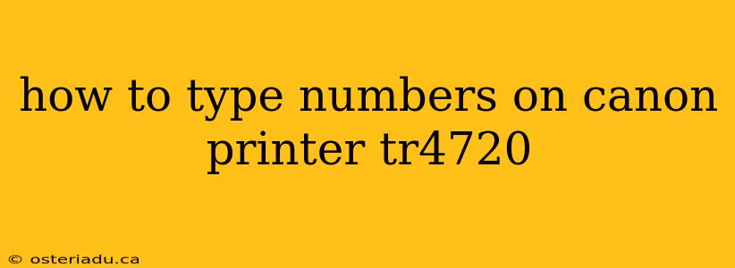 how to type numbers on canon printer tr4720