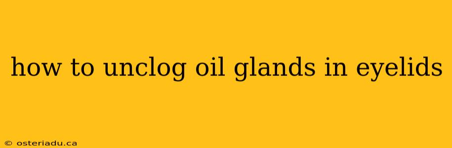 how to unclog oil glands in eyelids