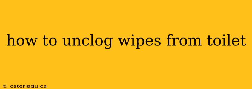 how to unclog wipes from toilet