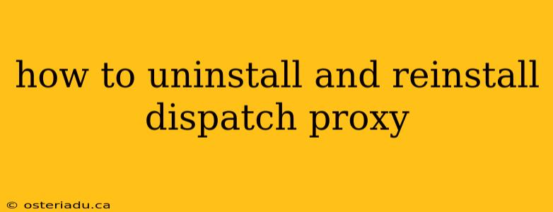 how to uninstall and reinstall dispatch proxy