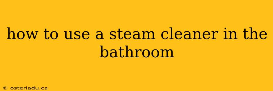 how to use a steam cleaner in the bathroom