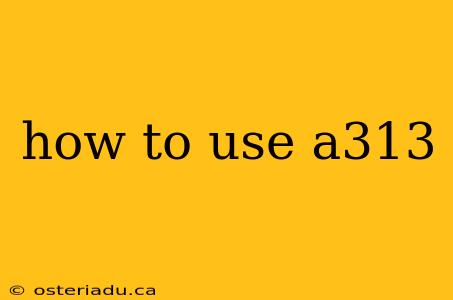 how to use a313