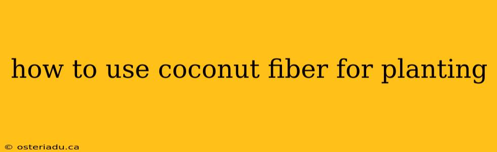 how to use coconut fiber for planting