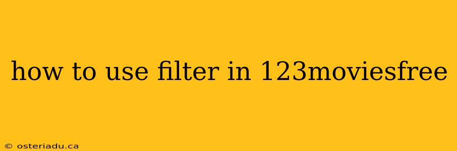 how to use filter in 123moviesfree