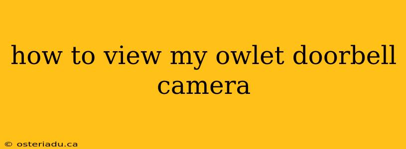 how to view my owlet doorbell camera