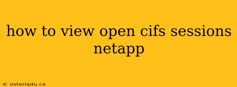 how to view open cifs sessions netapp