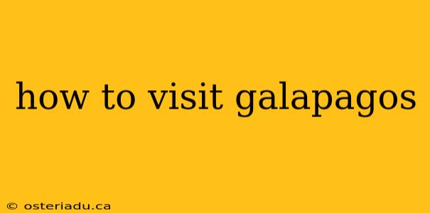 how to visit galapagos