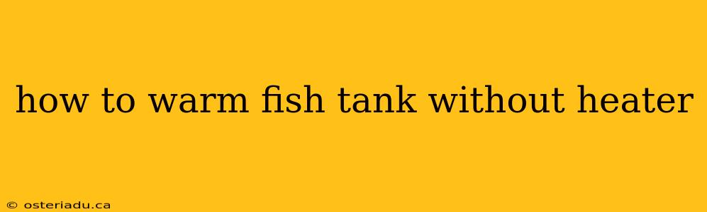 how to warm fish tank without heater