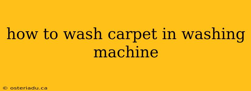 how to wash carpet in washing machine