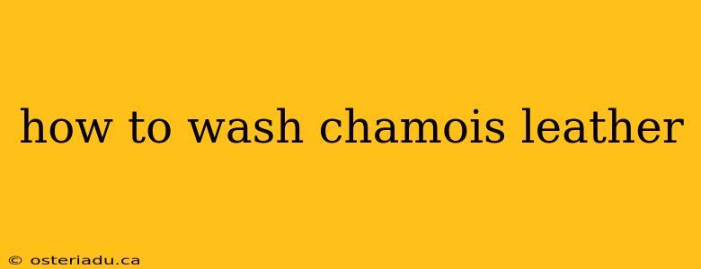 how to wash chamois leather