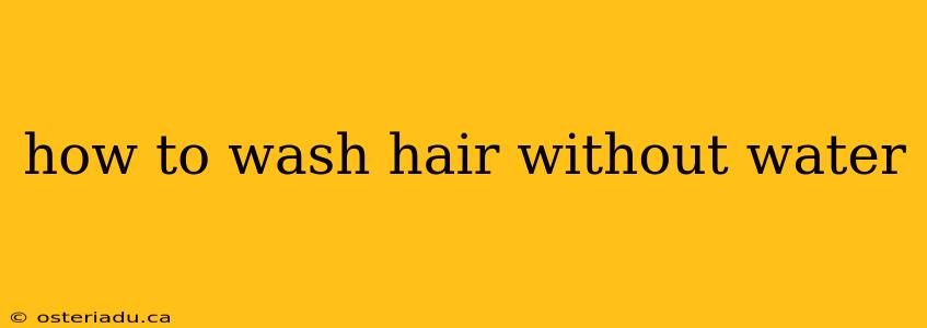 how to wash hair without water