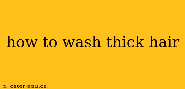 how to wash thick hair