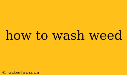 how to wash weed