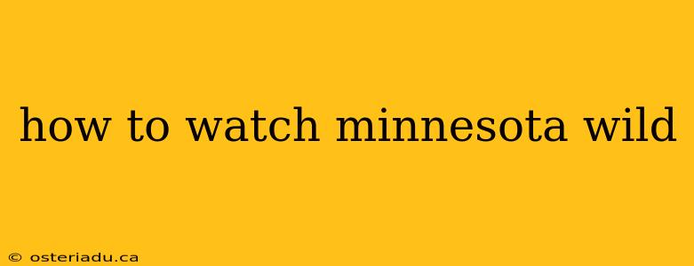 how to watch minnesota wild