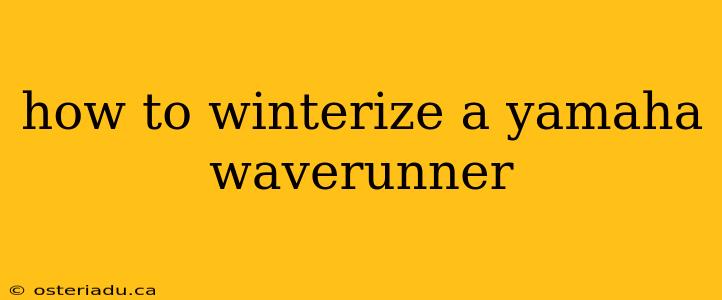 how to winterize a yamaha waverunner