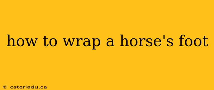 how to wrap a horse's foot