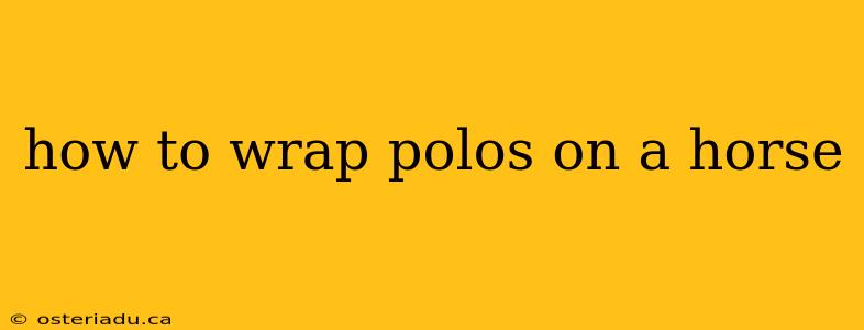 how to wrap polos on a horse