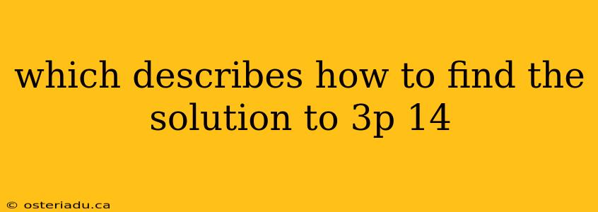 which describes how to find the solution to 3p 14